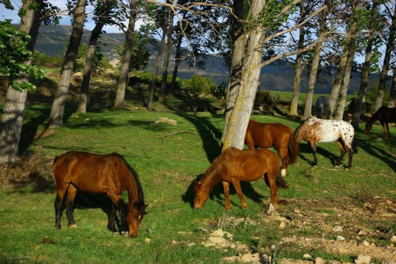 Fontellas-ayerbe Fontellas (Aragon)